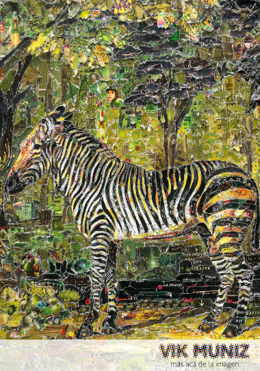 Vik Muniz - Más acá de la imagen